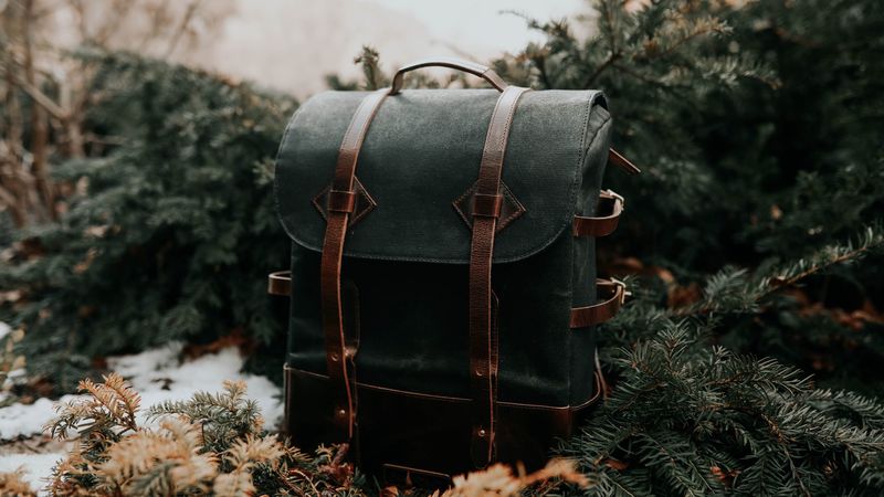 backpack, black, leather, spruce, needles, 4k