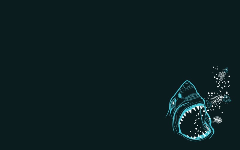 shark, minimalism, artist