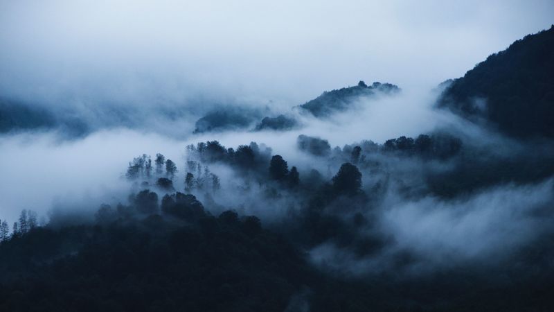 mountains, fog, clouds, trees, landscape, 4k