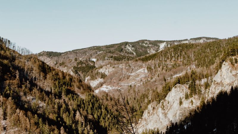 mountains, slopes, trees, aerial view, landscape, 4k