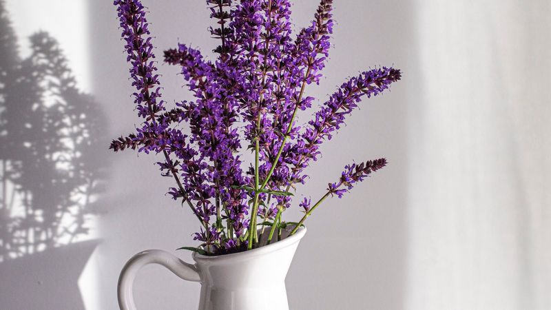 lavender, bouquet, vase, nut, white, 4k