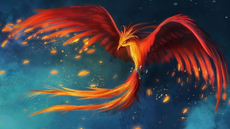 phoenix, artist, digital art