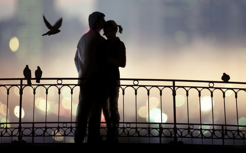 love, birds, couple