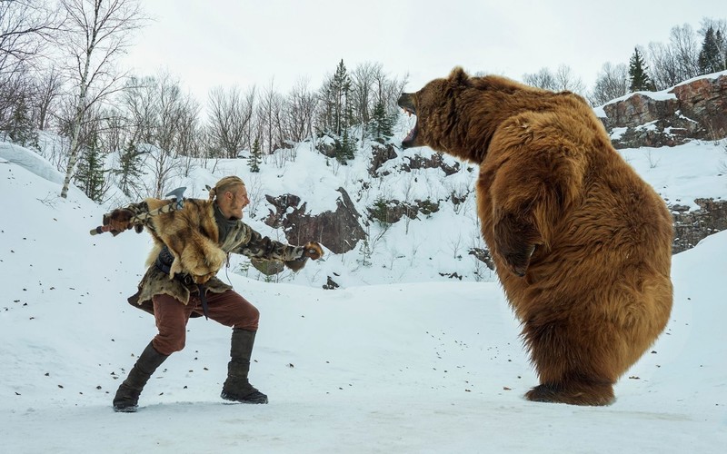 vikings, tv shows, bear