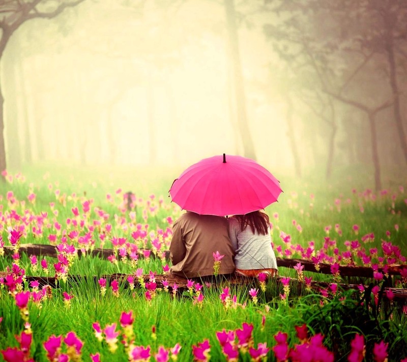 love, couple, pink, flowers, umbrella