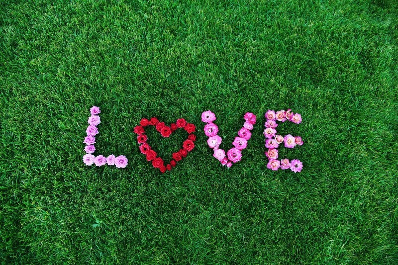 love, flowers, i love you, art