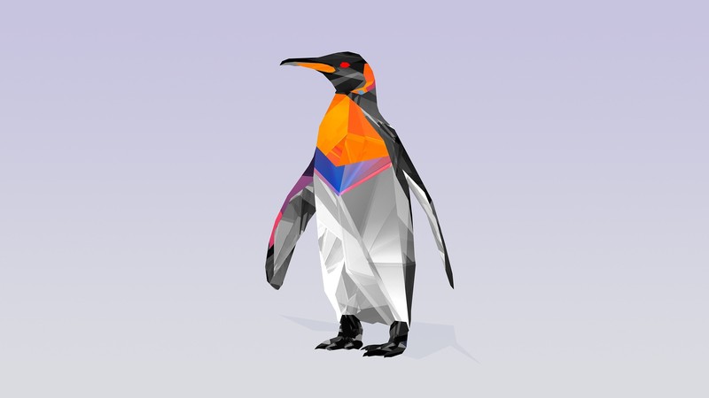 penguin, birds, abstract