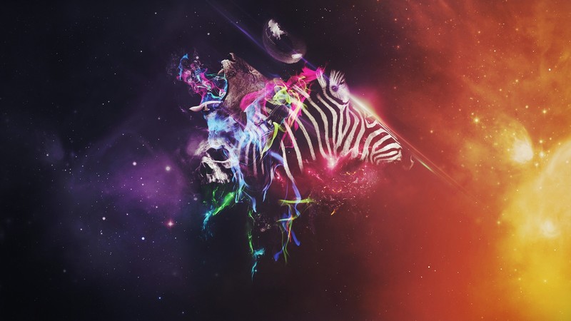 animals, colorful, artist, abstract