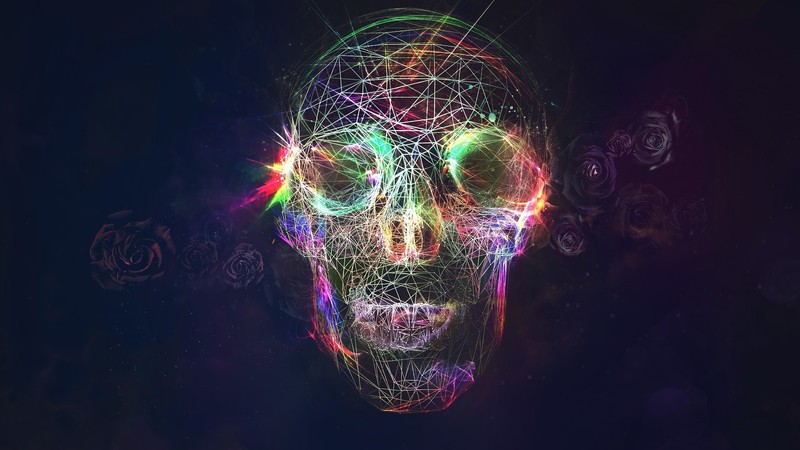 skull, digital art, artist