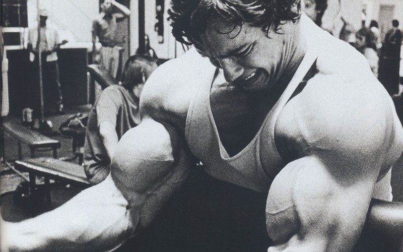 arnold schwarzenegger, body builder, celebrities, male celebrities