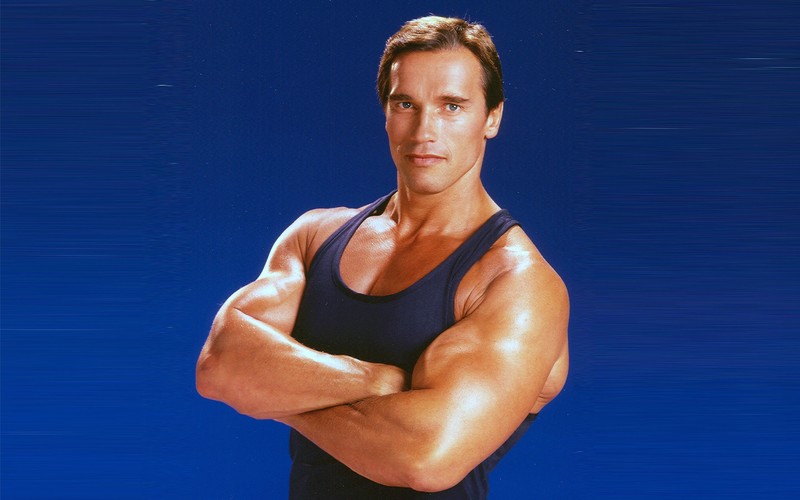 arnold schwarzenegger, body builder, celebrities, male celebrities