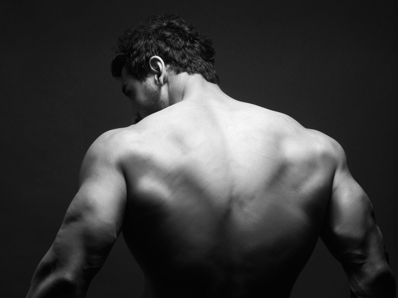 john abraham, body builder, indian celebrities, male celebrities