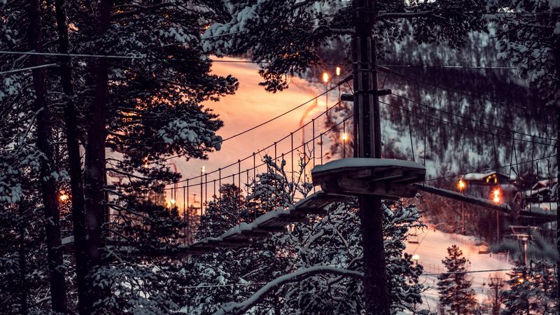 forest, winter, snow, structure, sunset, 4k