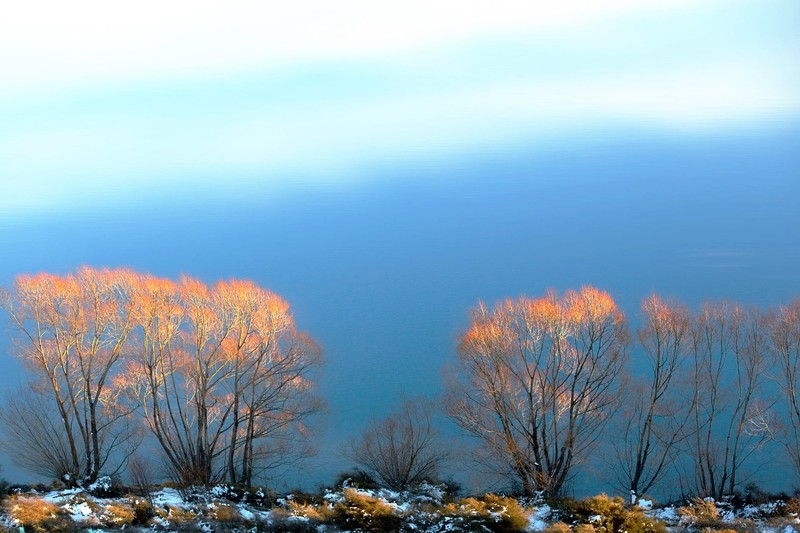 nature, scenery, trees, sky
