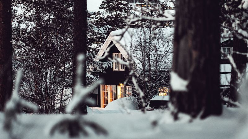 house, forest, snow, winter, 4k