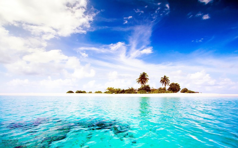 world, nature
