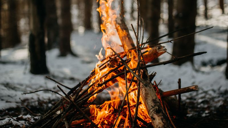 bonfire, fire, flame, branches, 4k