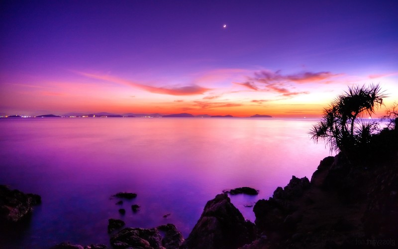 pink, sunset, nature