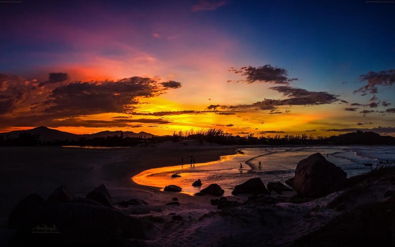 nature, twilight