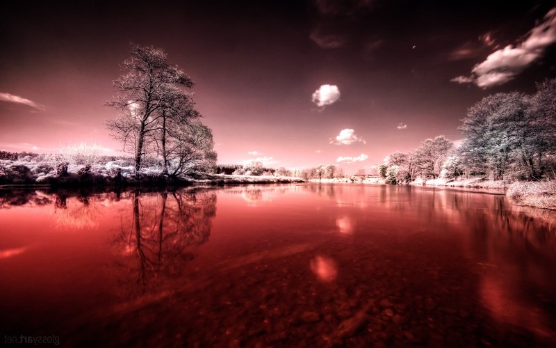 nature, blood, river