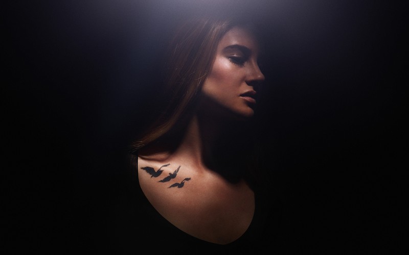 the divergent, movies, shailene woodley, celebrities, girls, hd