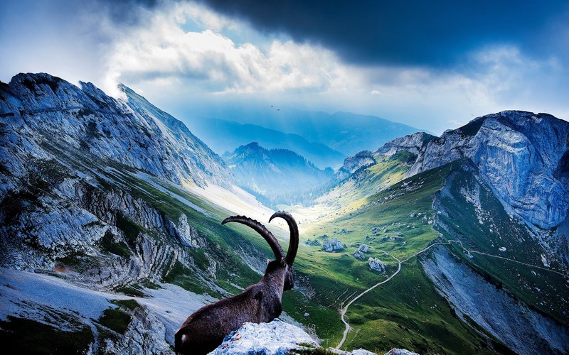 mountains, nature, scenery, hd