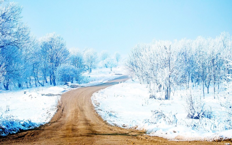 snow, road, way, nature