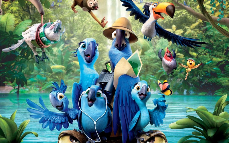 rio, movies, birds, animated movies, hd