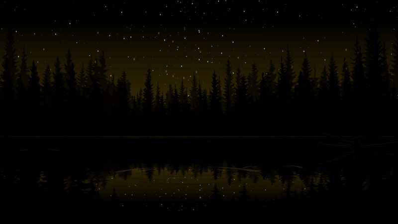 forest, dark, art, stars, 4k