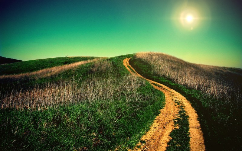 road, nature, hd