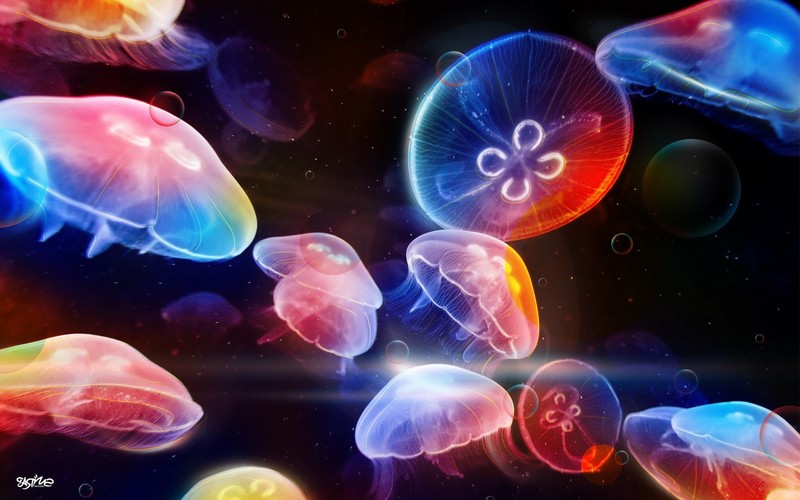 underwater, creative, hd