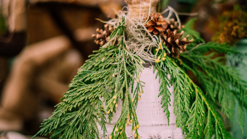 bell, branches, cones, decoration, christmas, new year, 4k