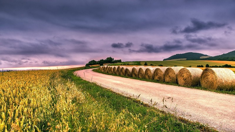 earth, field, nature