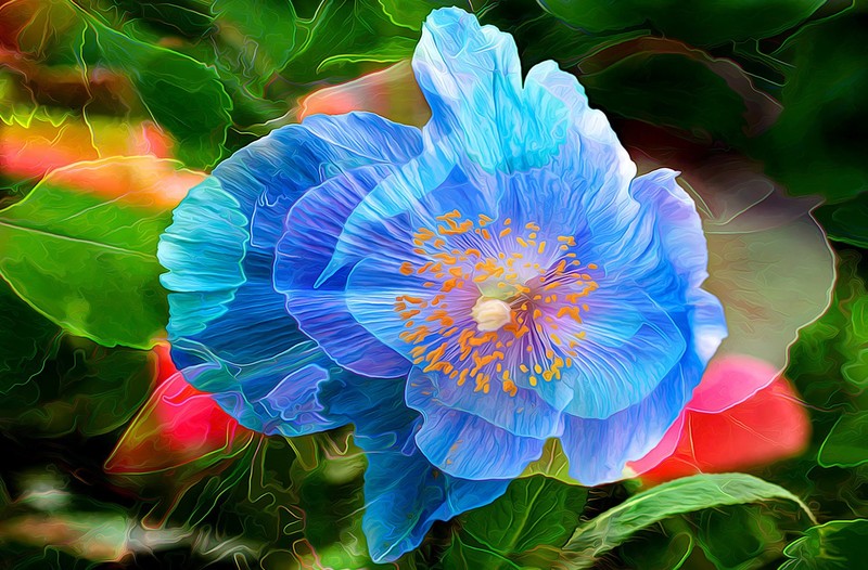 blue, flower, artist, painting