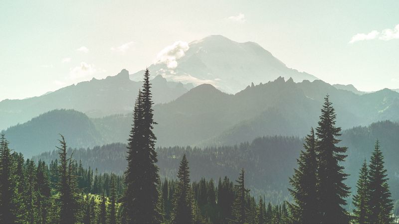 mountains, forest, fog, landscape, nature, 4k