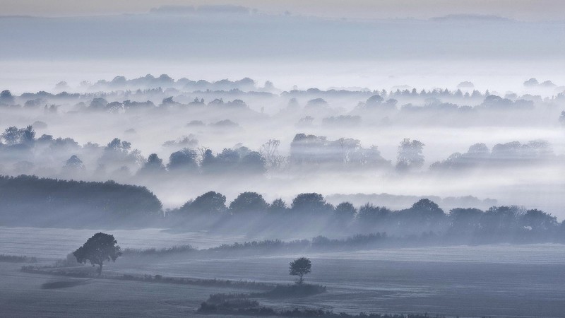 fog, trees, nature, sky