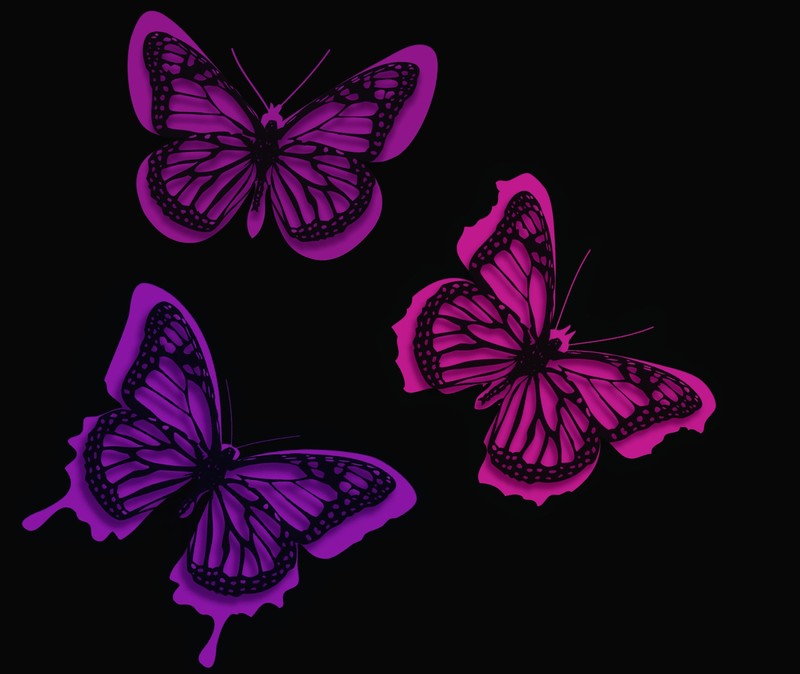 butterfly, pink, artist