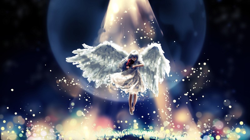 angel, wings, anime