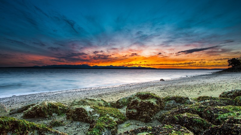 nature, water, beach, sky