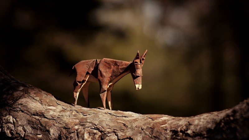 origami, donkey, creative