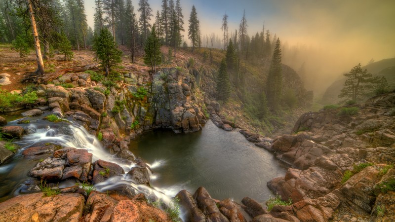 nature, california