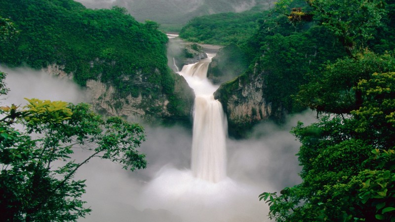 green, forest, waterfall, nature