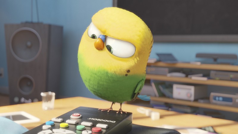 the secret life of pets, movies, animated movies, cartoons, 2016 movies