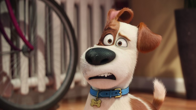 the secret life of pets, movies, animated movies, cartoons