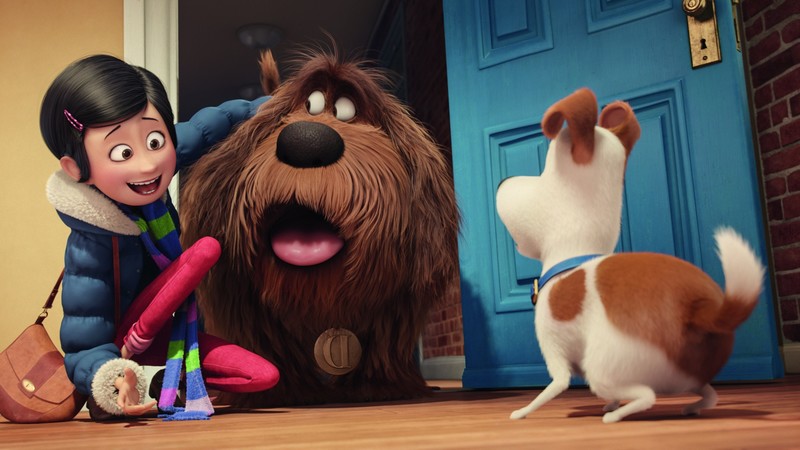 the secret life of pets, movies, animated movies, cartoons