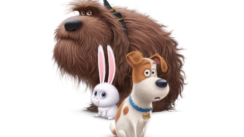 the secret life of pets, movies, animated movies, cartoons, 2016 movies