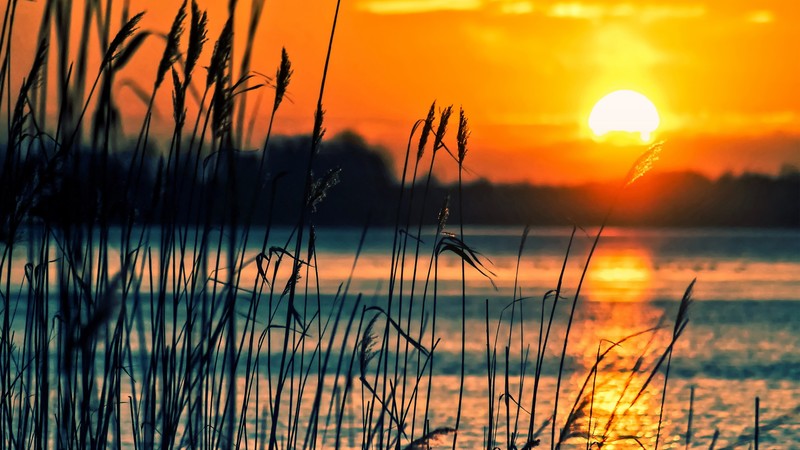 nature, lake, sunset, fields