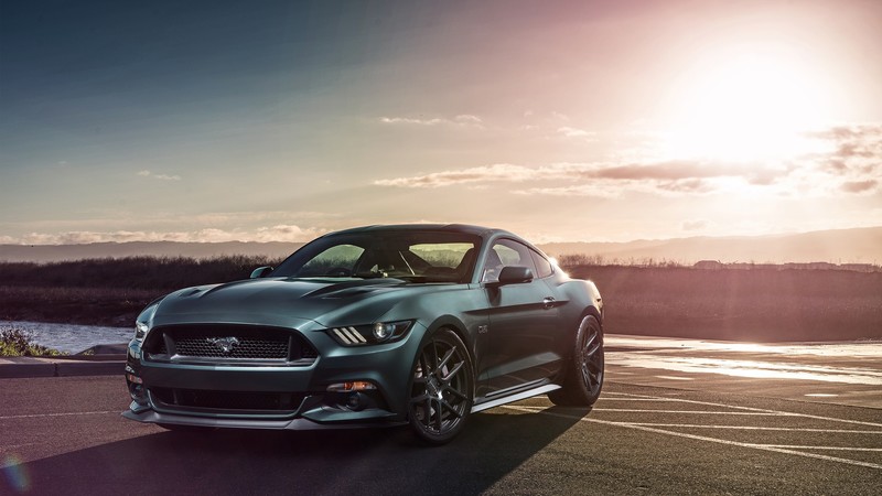 ford mustang, cars