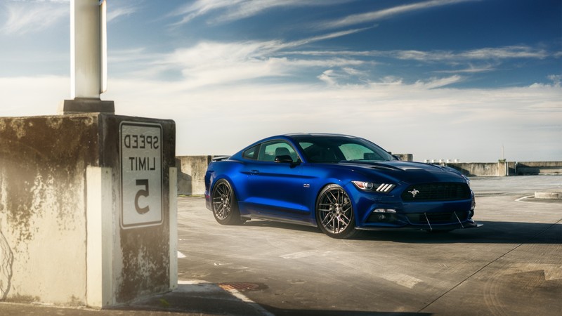 cars, ford mustang, ford, wheels, alloys, custom