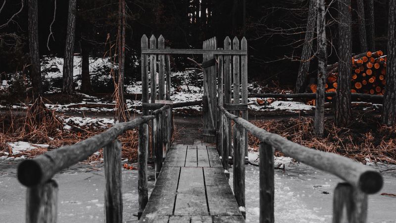 bridge, river, ice, forest, nature, 4k